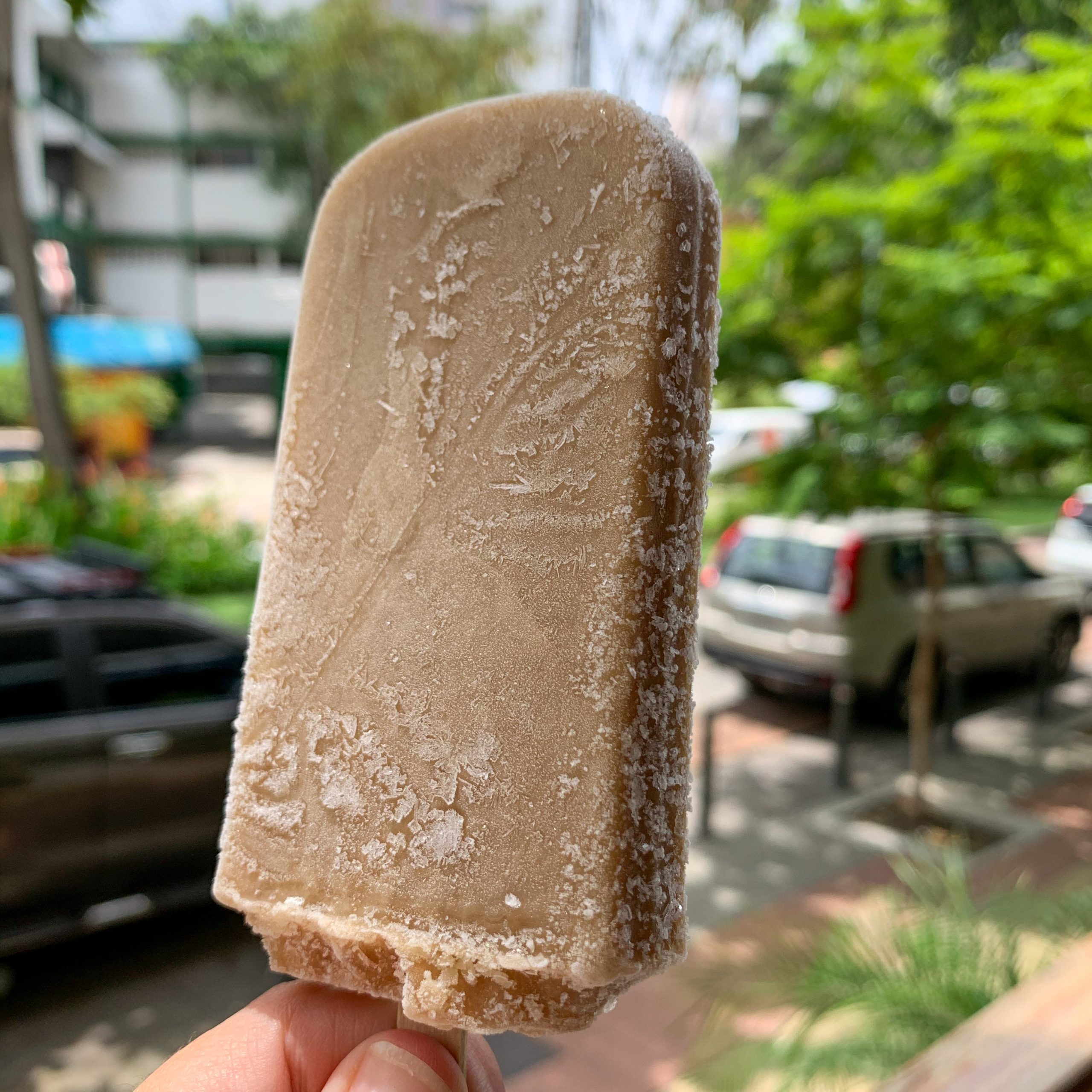 Tamarindo