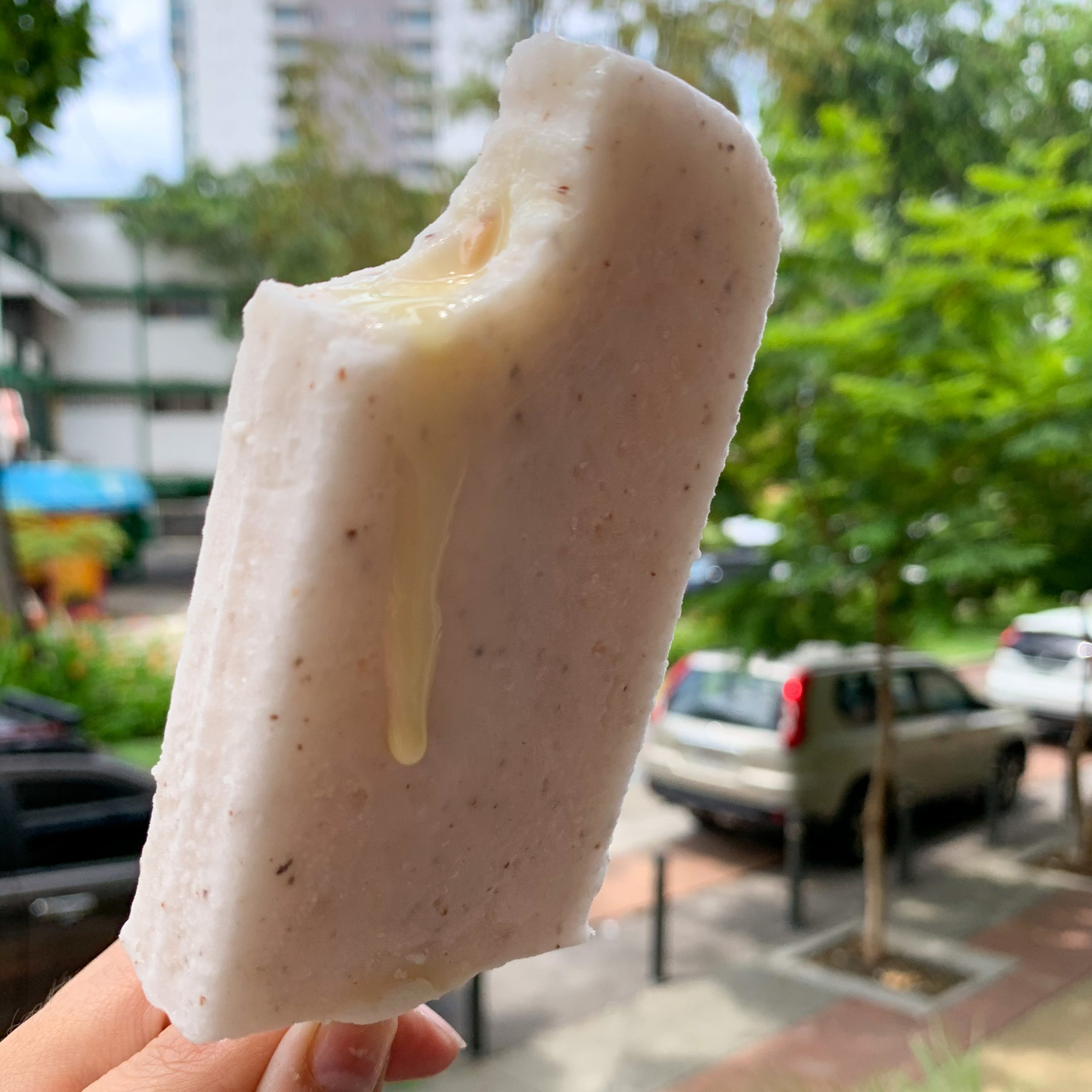 Coco con leche condensada