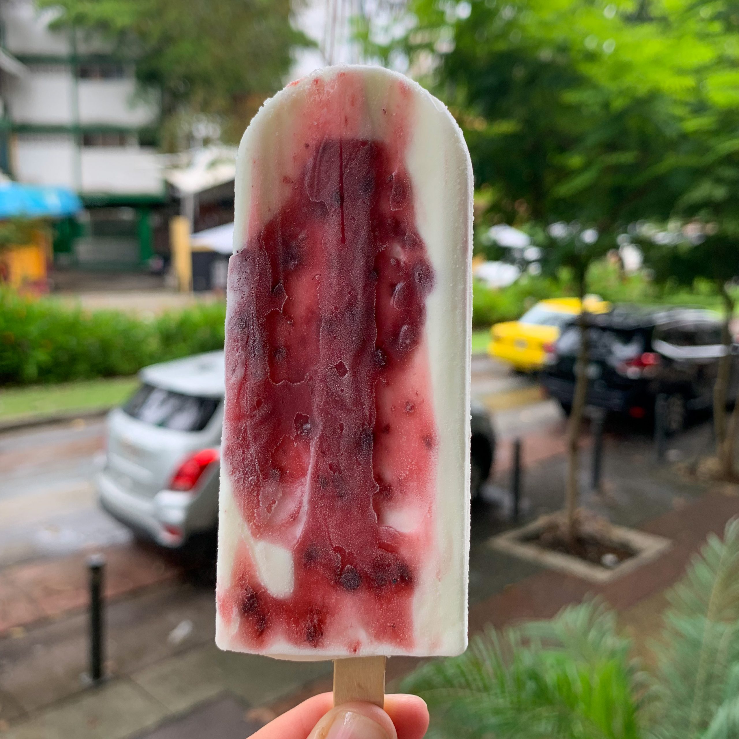 Yogurt mora
