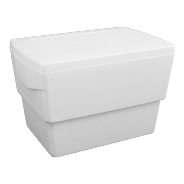 Cooler (capacidad 100 paletas)