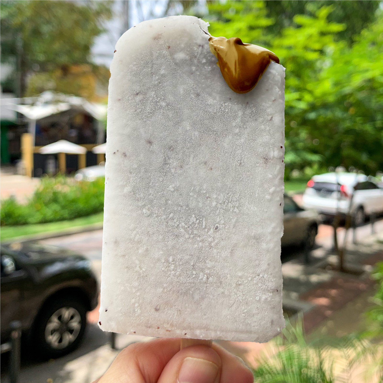 Coco con dulce de leche